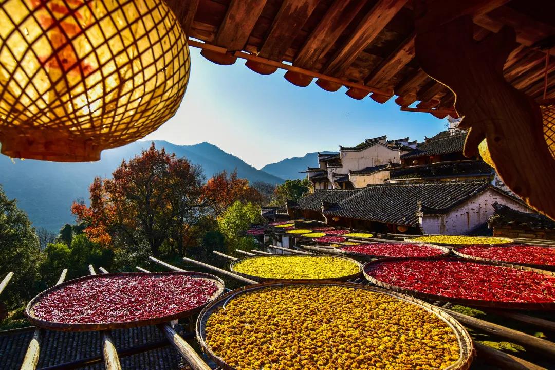 廬山、鄱陽(yáng)湖石鐘山、景德鎮(zhèn)、婺源篁嶺、三清山四日游